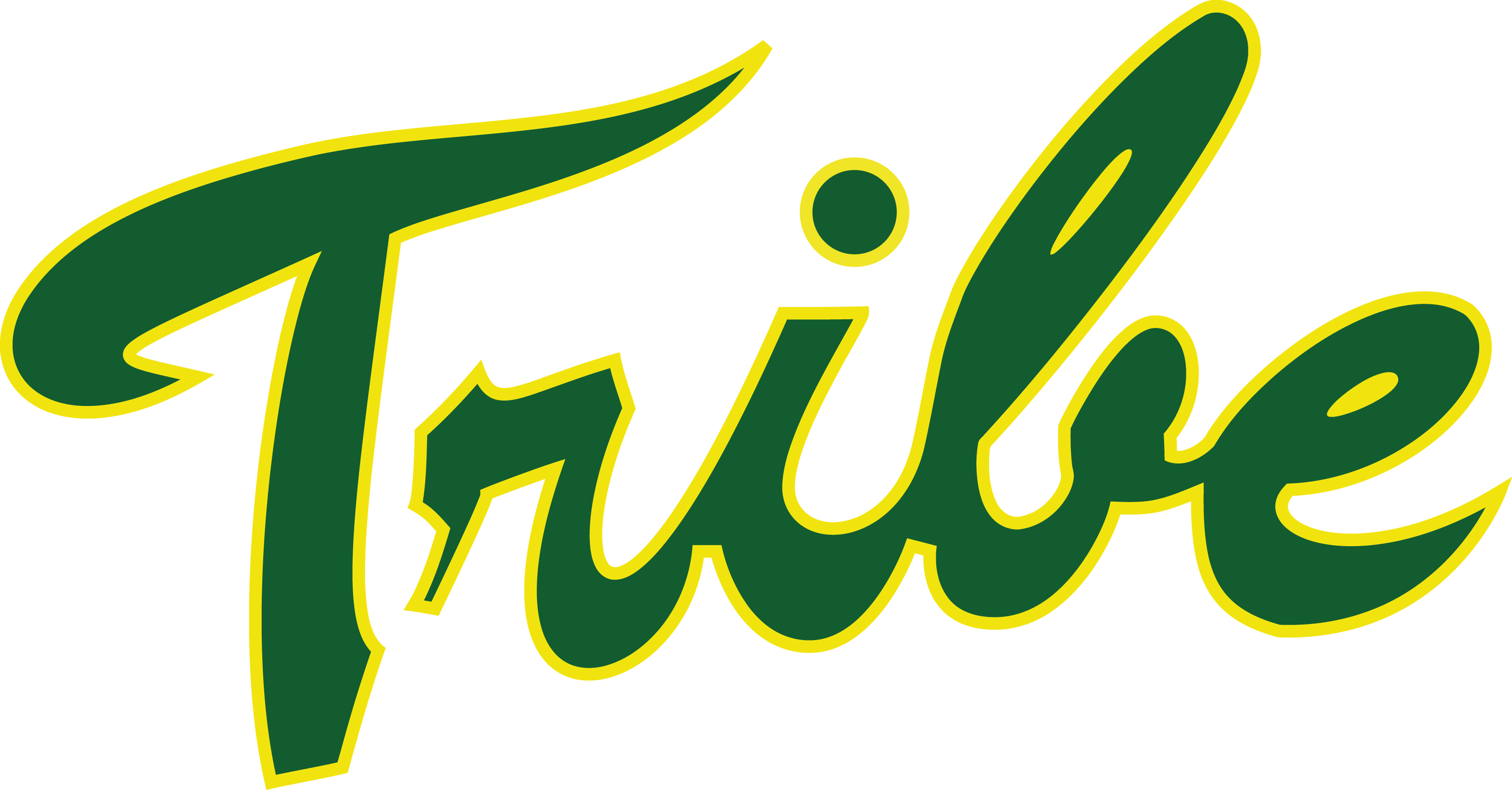 William and Mary Tribe 1985-Pres Alternate Logo iron on transfers for T-shirts